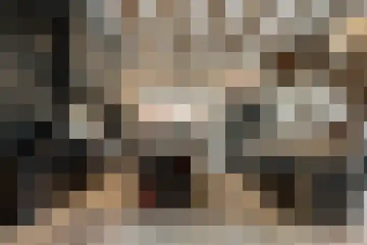 Lagendijk 88 Ridderkerk thumbnail 28