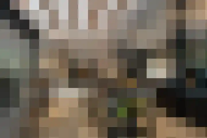 Lagendijk 88 Ridderkerk thumbnail 30
