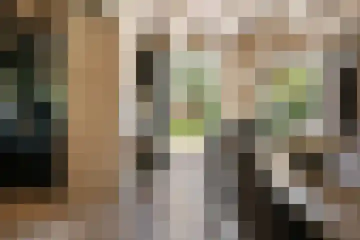 Lagendijk 88 Ridderkerk thumbnail 41