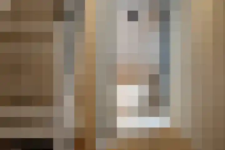 Lagendijk 88 Ridderkerk thumbnail 48