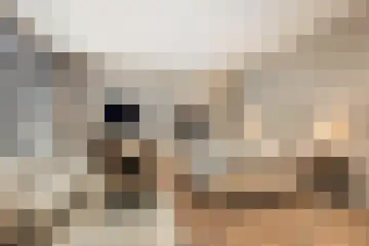 Lagendijk 88 Ridderkerk thumbnail 49
