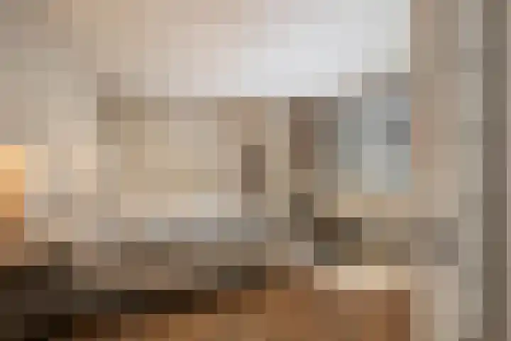 Lagendijk 88 Ridderkerk thumbnail 51