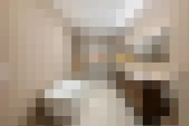 Lagendijk 88 Ridderkerk thumbnail 58