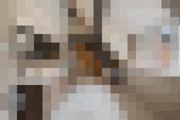 Lagendijk 88 Ridderkerk thumbnail 72