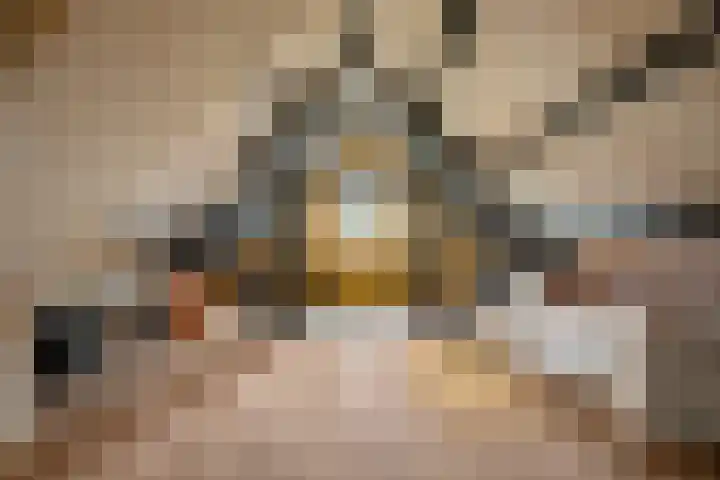 Lagendijk 88 Ridderkerk thumbnail 74