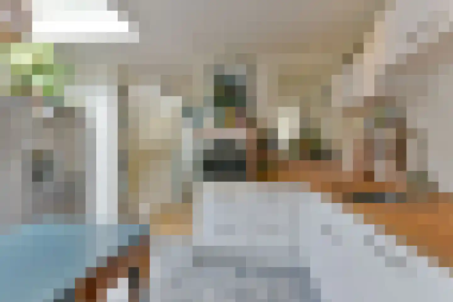 Lagenoord 12 Utrecht thumbnail 16