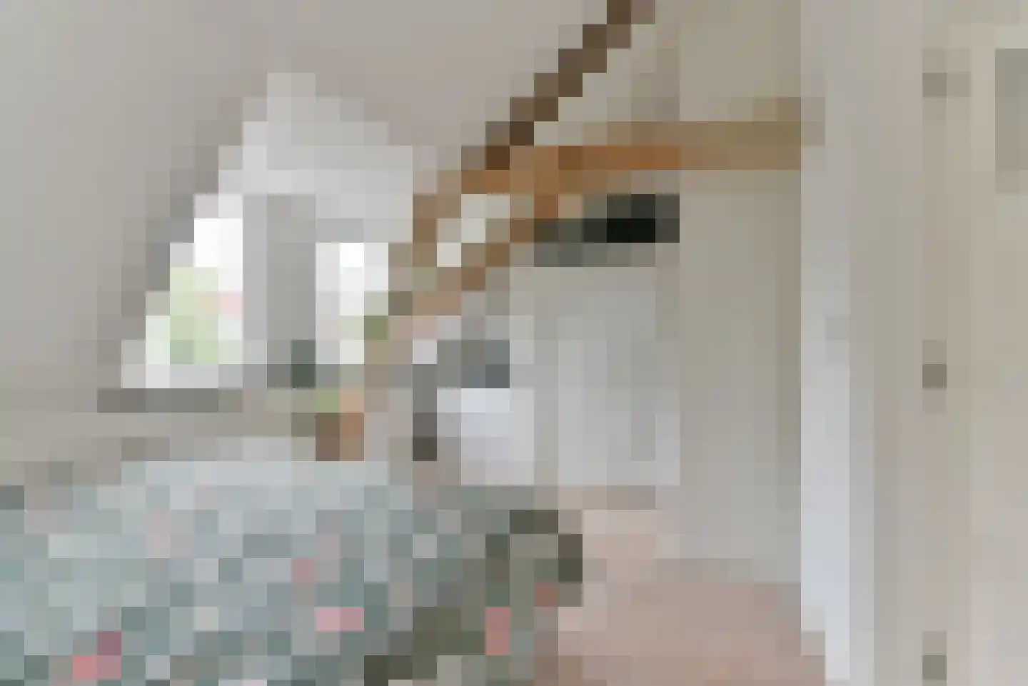 Lagenoord 12 Utrecht thumbnail 25