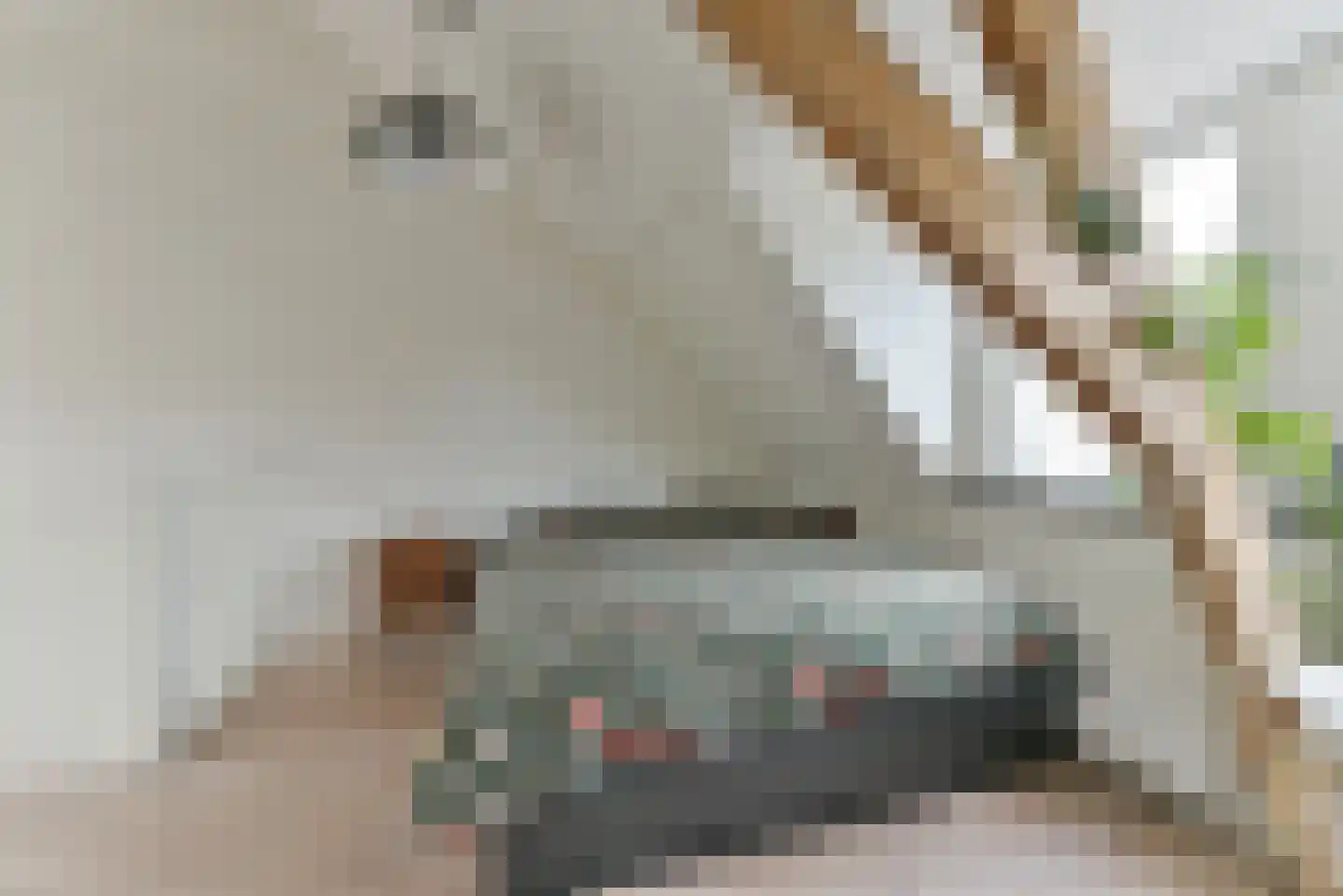 Lagenoord 12 Utrecht thumbnail 26