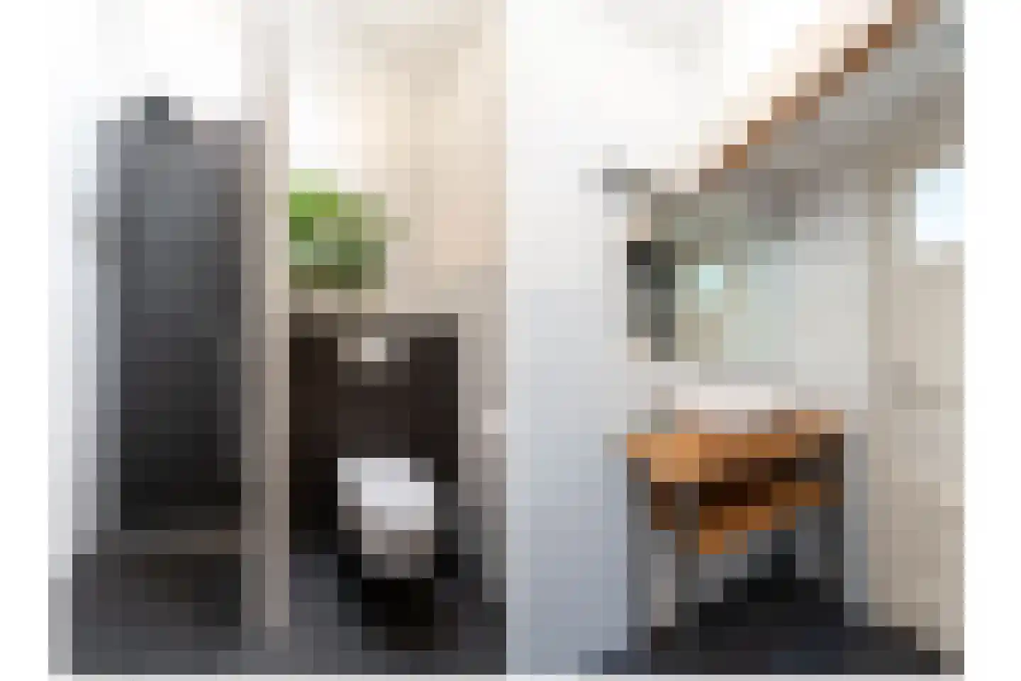 Lagenoord 12 Utrecht thumbnail 31