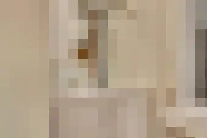 Lagenoord 14 Utrecht thumbnail 11