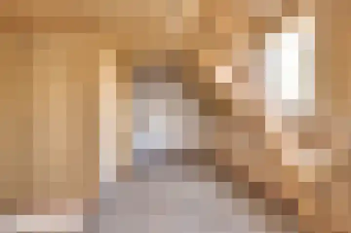 Lagenoord 14 Utrecht thumbnail 13