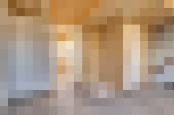 Lagenoord 14 Utrecht thumbnail 15