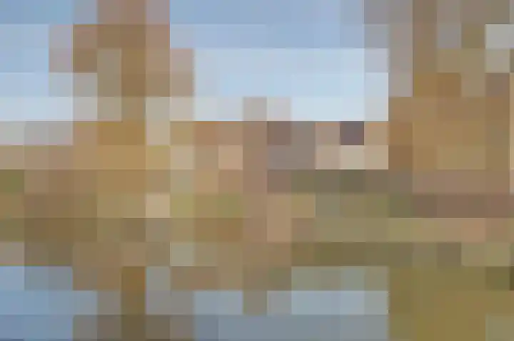 Lagenoord 14 Utrecht thumbnail 22
