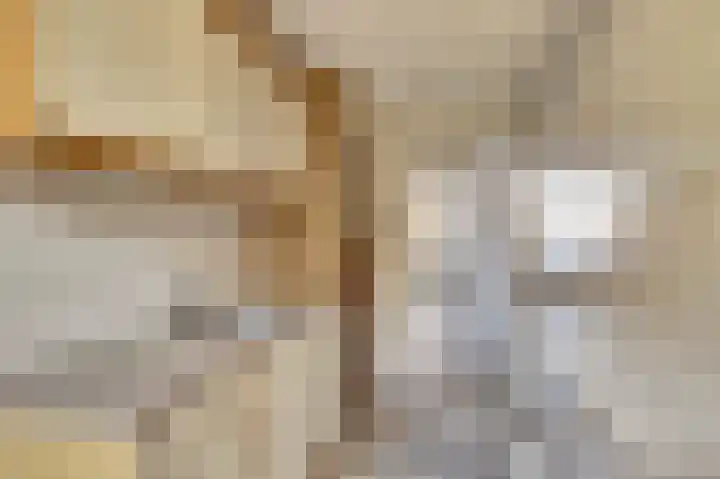 Lagenoord 14 Utrecht thumbnail 7