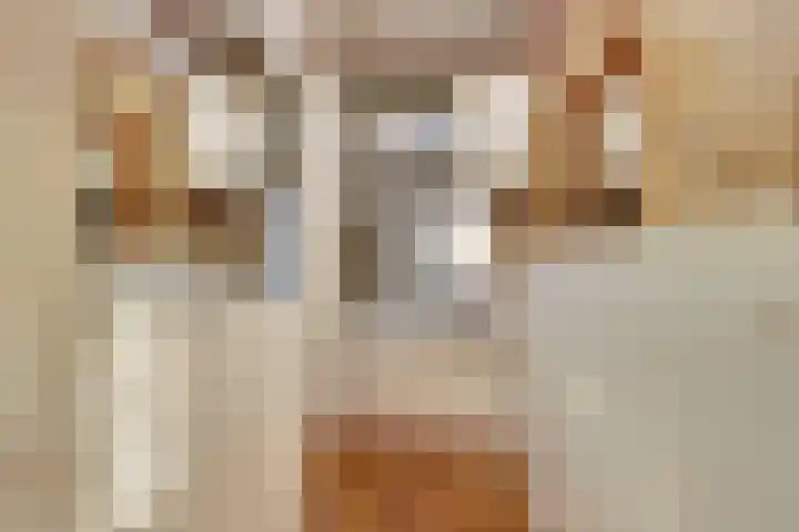 Lagenoord 14 Utrecht thumbnail 9