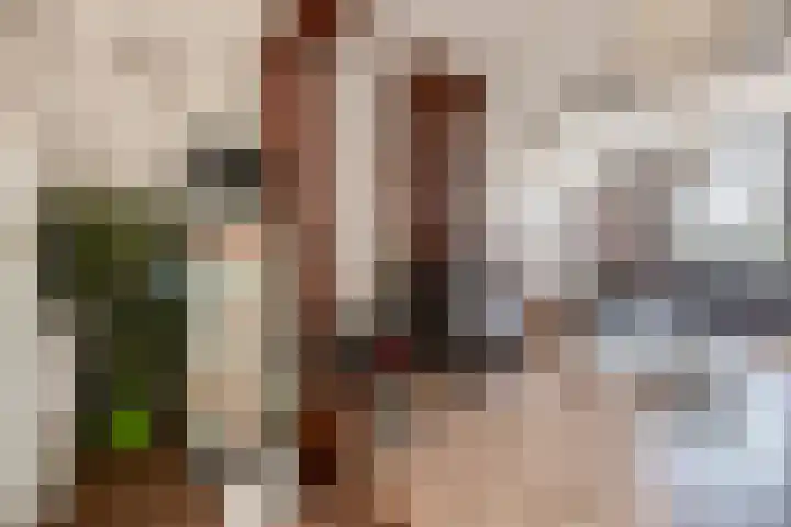 Lagenoord 59 Utrecht thumbnail 21