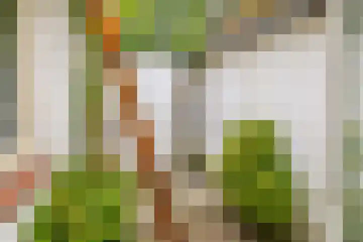 Lagenoord 59 Utrecht thumbnail 23