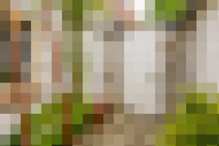 Lagenoord 59 Utrecht thumbnail 24