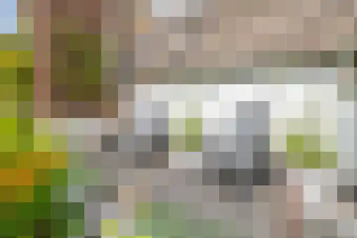 Lagenoord 59 Utrecht thumbnail 27