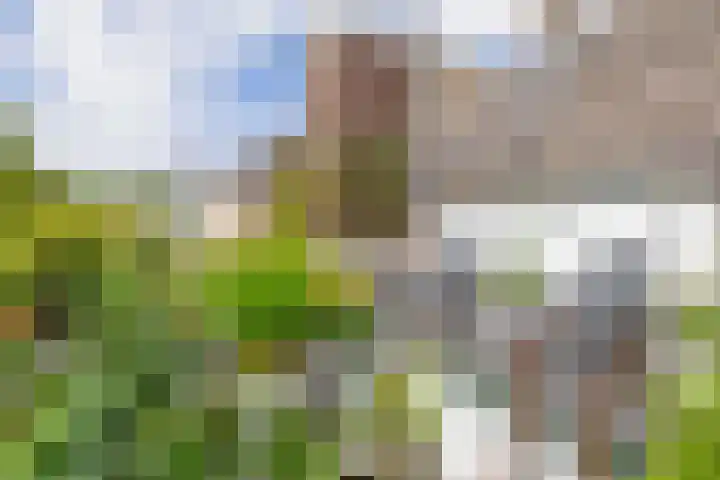 Lagenoord 59 Utrecht thumbnail 28