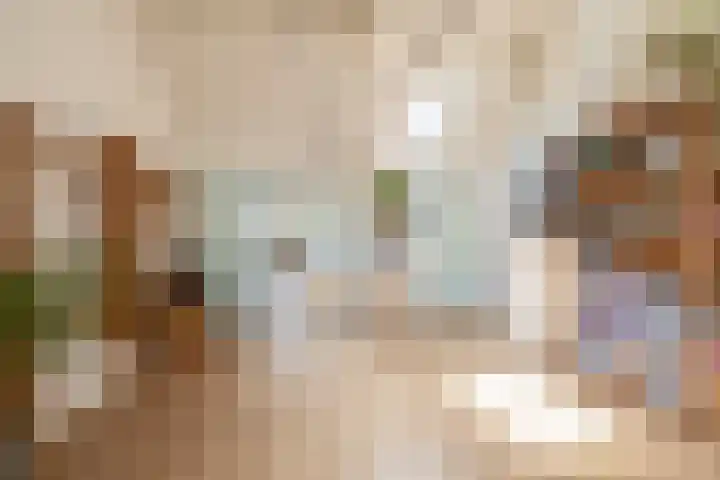 Lagenoord 59 Utrecht thumbnail 30