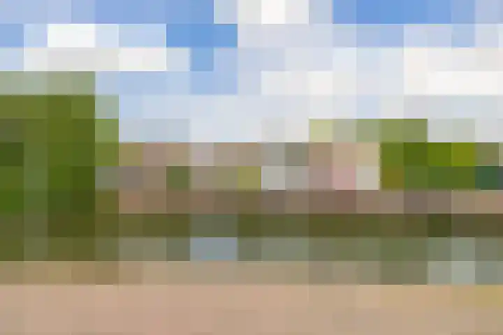 Lagenoord 59 Utrecht thumbnail 32