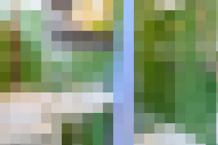Lagenoord 59 Utrecht thumbnail 34