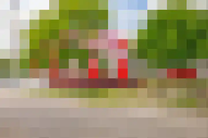 Lagenoord 59 Utrecht thumbnail 36