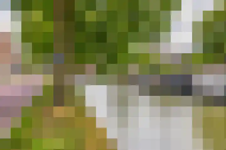 Lagenoord 59 Utrecht thumbnail 37