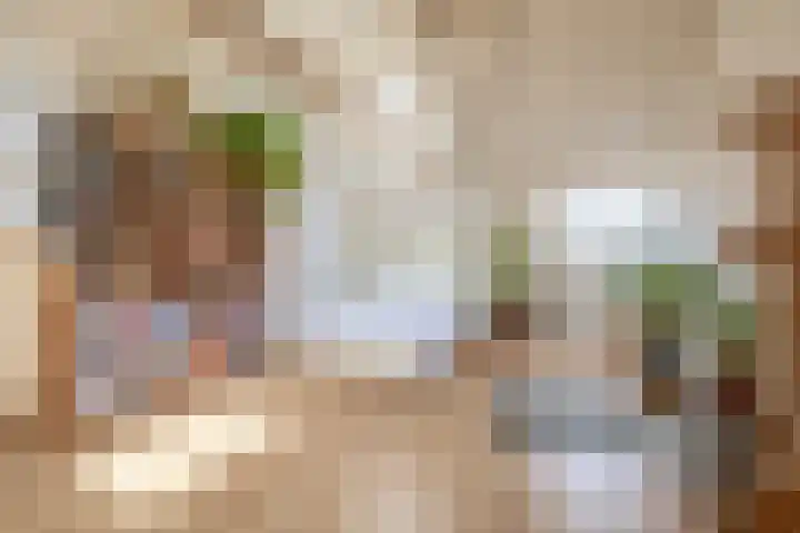 Lagenoord 59 Utrecht thumbnail 4