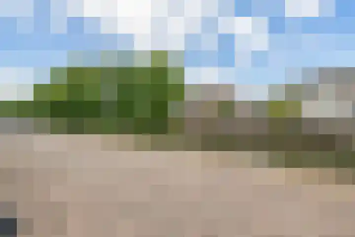 Lagenoord 59 Utrecht thumbnail 6