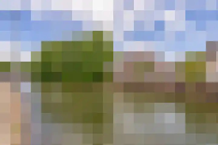 Lagenoord 59 Utrecht thumbnail 8