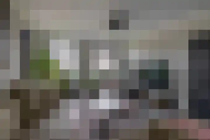 Lagestede 17 Zegge thumbnail 10