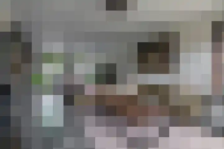 Lagestede 17 Zegge thumbnail 11