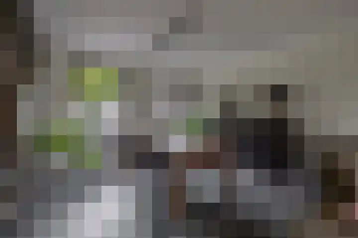 Lagestede 17 Zegge thumbnail 12