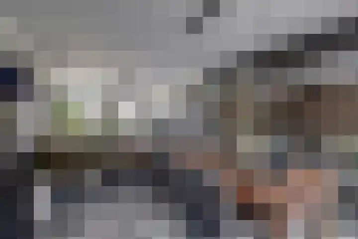 Lagestede 17 Zegge thumbnail 13