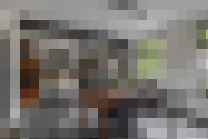 Lagestede 17 Zegge thumbnail 14