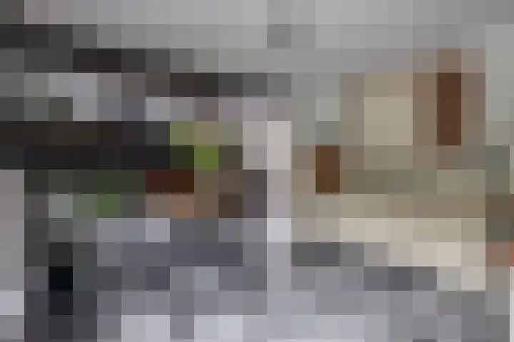 Lagestede 17 Zegge thumbnail 15