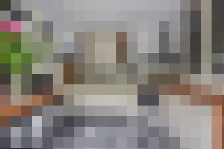 Lagestede 17 Zegge thumbnail 16
