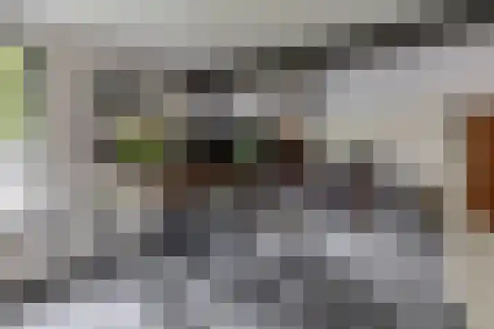Lagestede 17 Zegge thumbnail 18