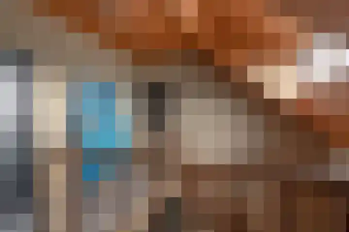 Lagestede 17 Zegge thumbnail 20