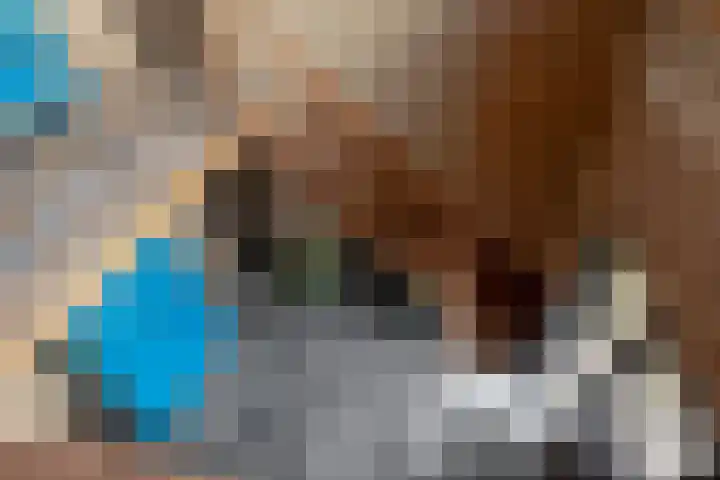 Lagestede 17 Zegge thumbnail 21
