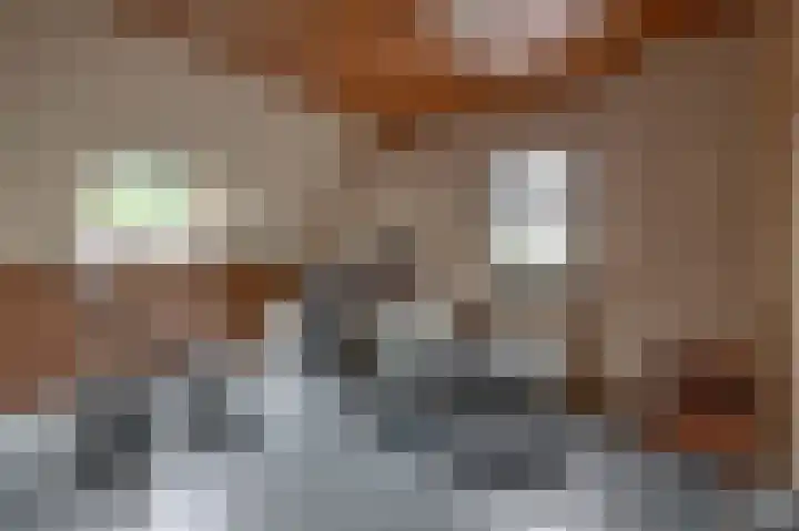 Lagestede 17 Zegge thumbnail 22