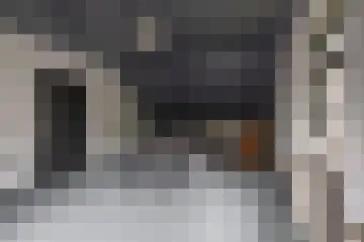 Lagestede 17 Zegge thumbnail 23