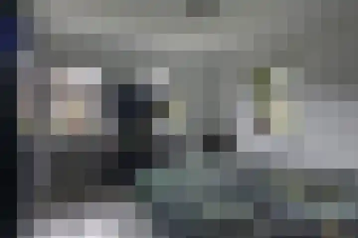 Lagestede 17 Zegge thumbnail 25