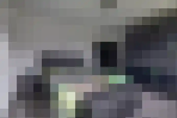 Lagestede 17 Zegge thumbnail 26