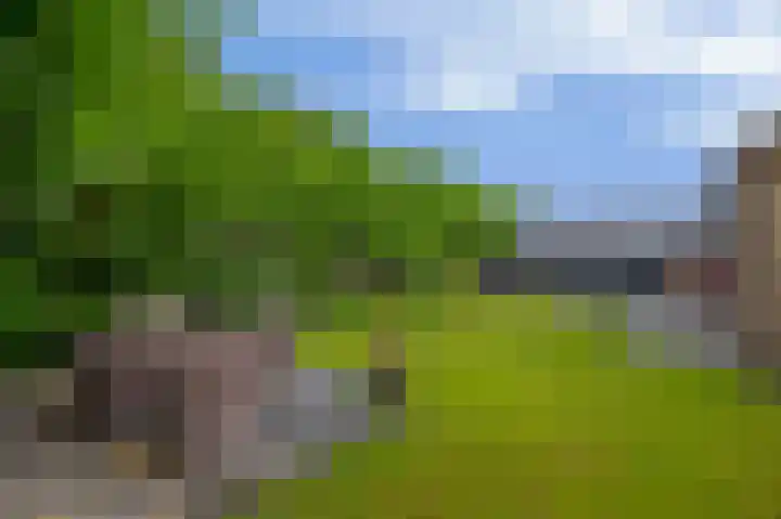 Lagestede 17 Zegge thumbnail 30