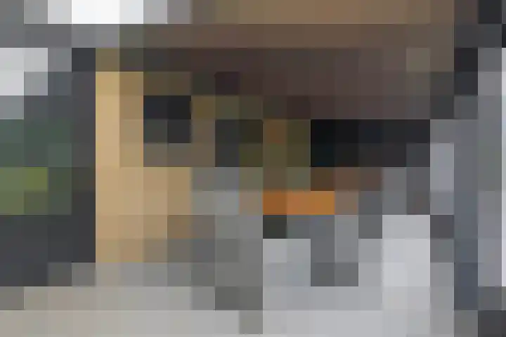Lagestede 17 Zegge thumbnail 33
