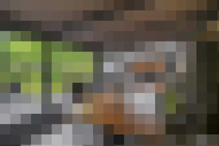 Lagestede 17 Zegge thumbnail 34