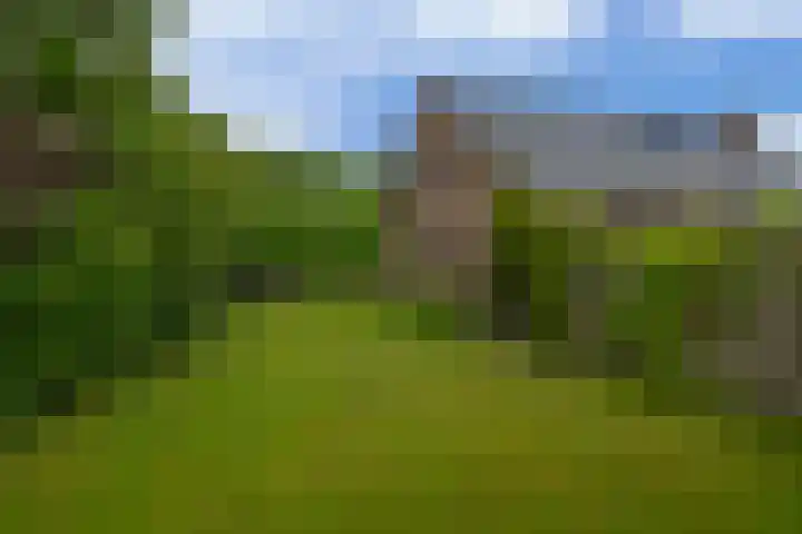 Lagestede 17 Zegge thumbnail 35